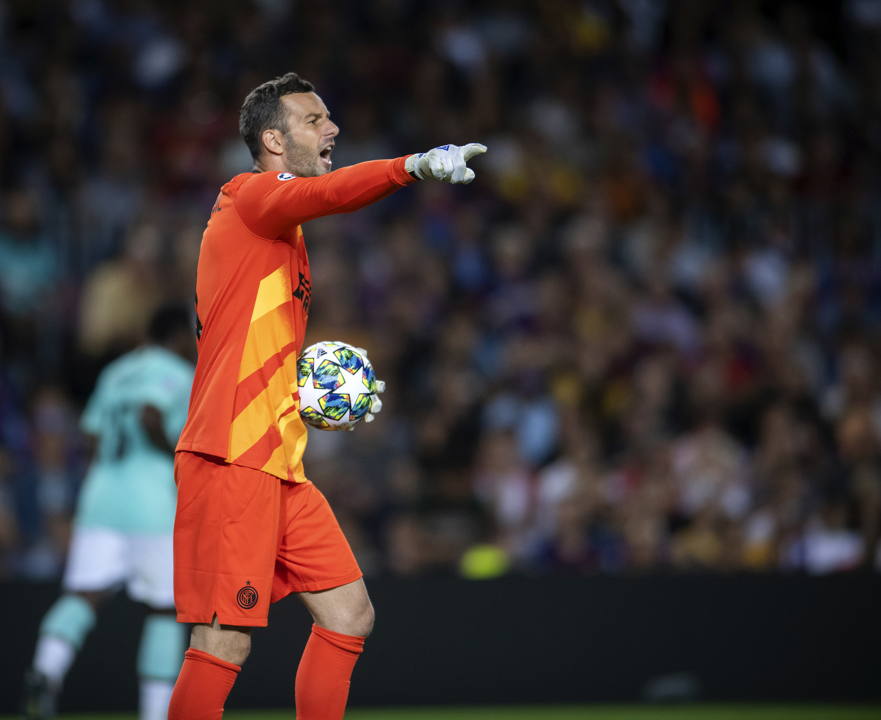 证明年龄从 证明年龄从